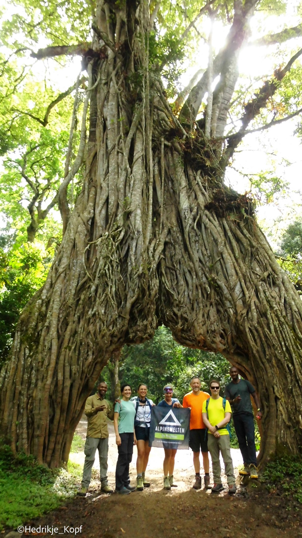 Am Mount Meru Am Mount Meru
