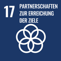 sdg-17 sdg-17