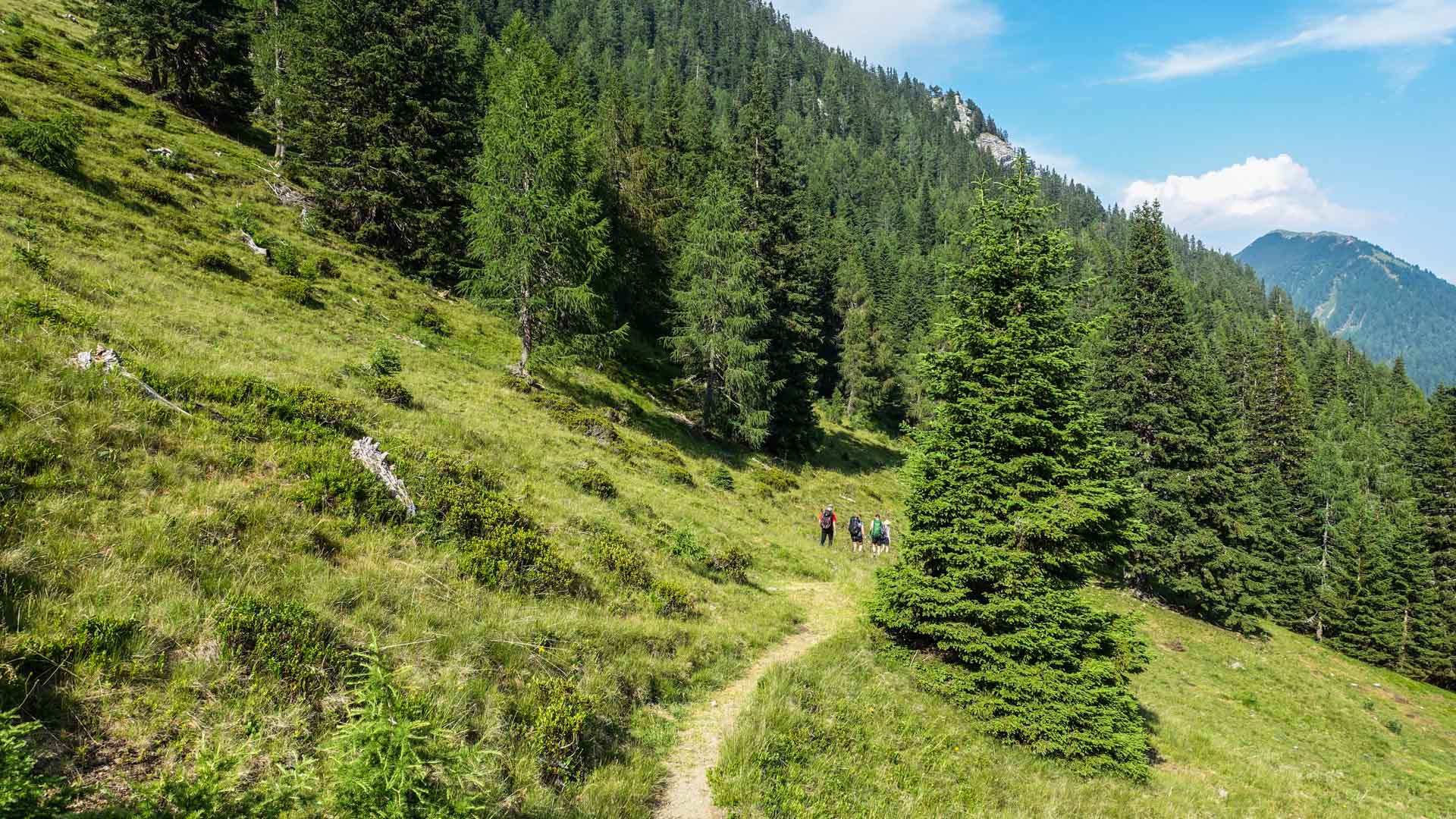 Wandern auf dem Karnischen Höhenweg 
